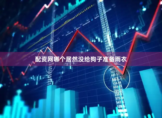 配资网哪个居然没给狗子准备雨衣