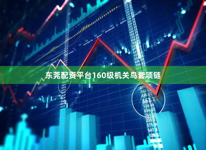 东莞配资平台160级机关鸟套项链